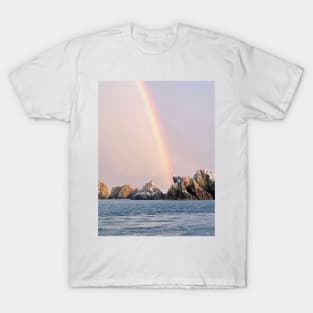 Les Etacs rock gannet colony, Alderney T-Shirt